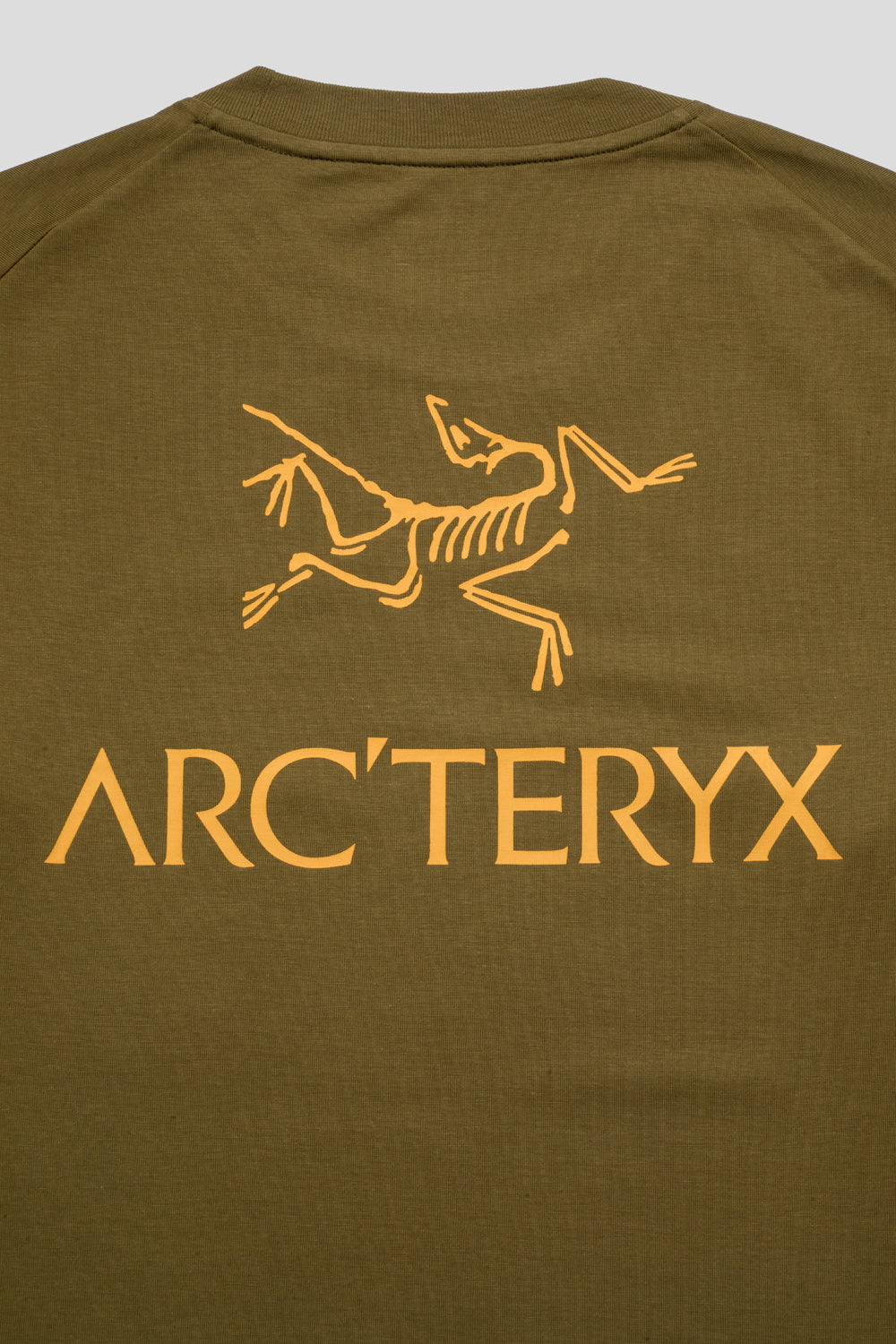 Arc'teryx Kragg SL Cotton Bird Word Tee SS 'Braken / Larch'-thumbmail-4