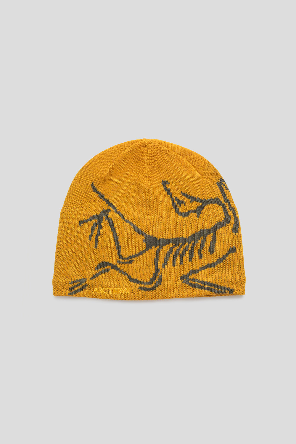 Arc'teryx Bird Head Touque 'Nucleus / Mongoose'-thumbmail-1