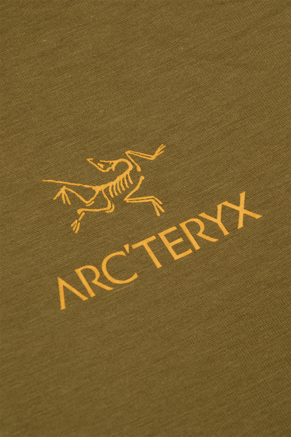 Arc'teryx Kragg SL Cotton Bird Word Tee SS 'Braken / Larch'-thumbmail-6