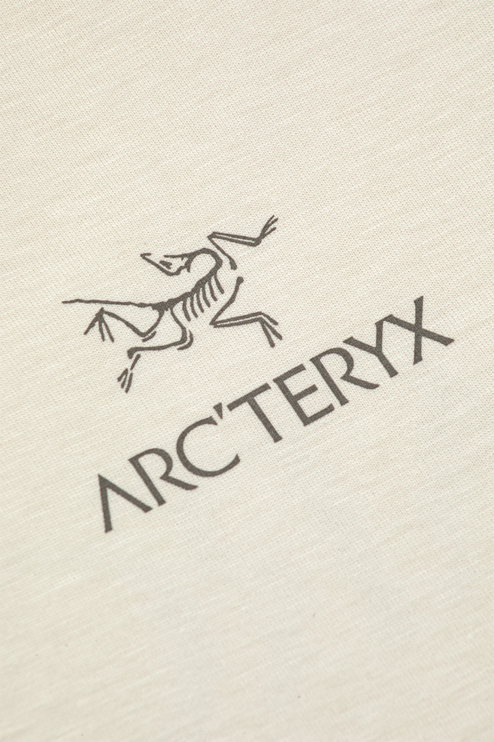 Arc'teryx Kragg SL Cotton Bird Word Tee SS 'Sea Salt / Monogoose'-thumbmail-5