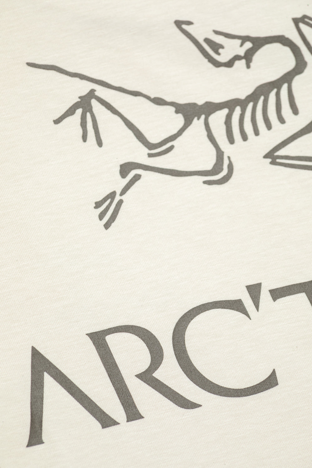 Arc'teryx Kragg SL Cotton Bird Word Tee SS 'Sea Salt / Monogoose'-thumbmail-6