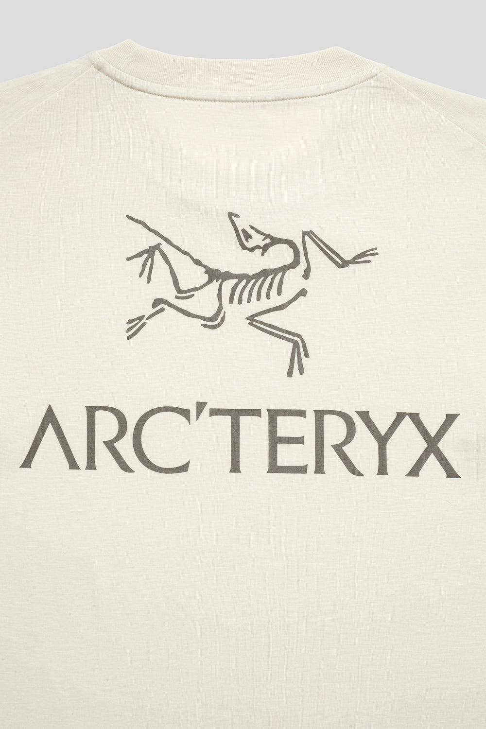 Arc'teryx Kragg SL Cotton Bird Word Tee SS 'Sea Salt / Monogoose'-thumbmail-4