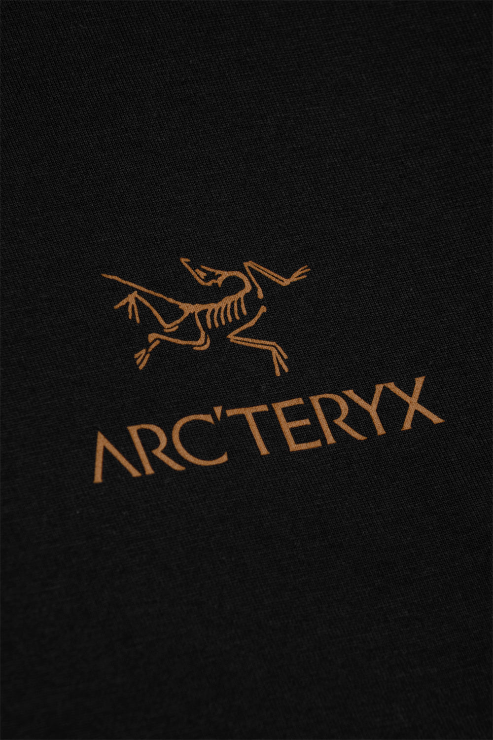 Arc'teryx Kragg SL Cotton Bird Word Shirt SS '24K Black'-thumbmail-5