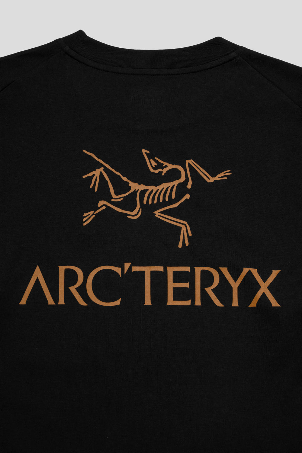 Arc'teryx Kragg SL Cotton Bird Word Shirt SS '24K Black'-thumbmail-4
