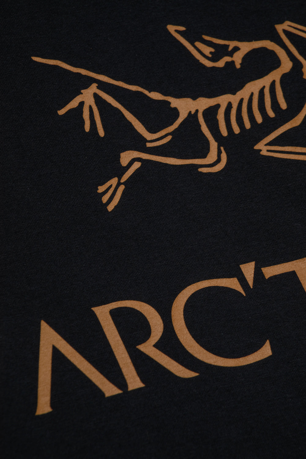 Arc'teryx Kragg SL Cotton Bird Word Shirt SS '24K Black'-thumbmail-6