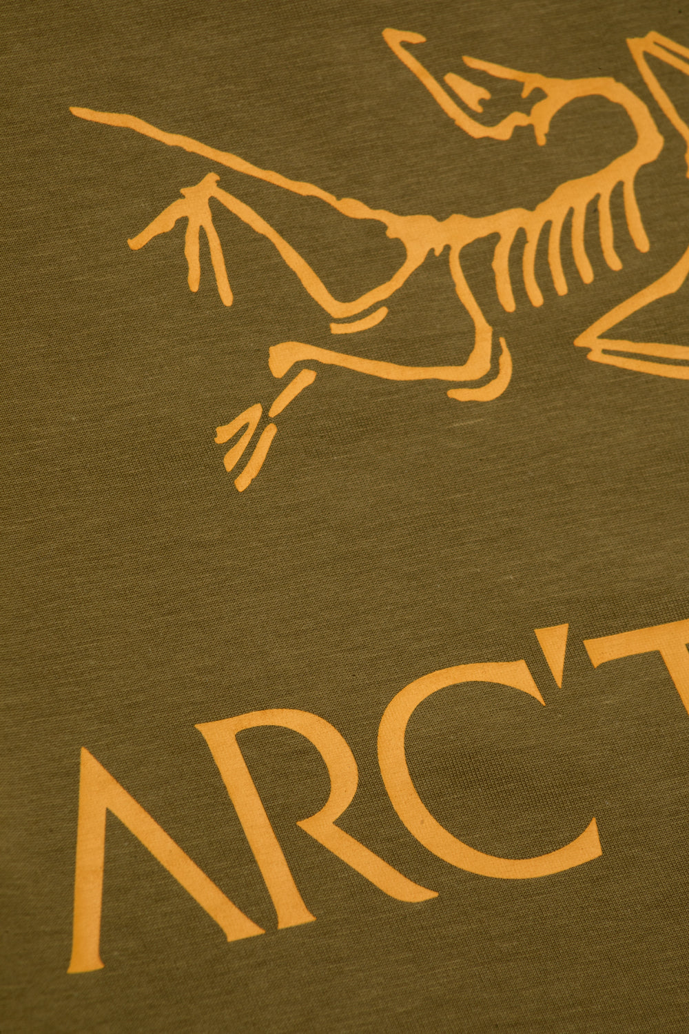 Arc'teryx Kragg SL Cotton Bird Word Tee SS 'Braken / Larch'-thumbmail-3